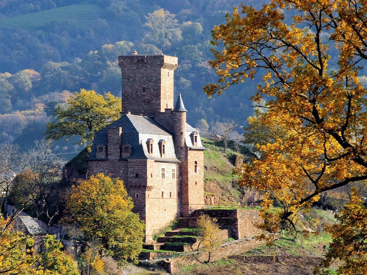 Chateau La Servayrie - Chambre D'Hotes Marcillac-Vallon Екстер'єр фото